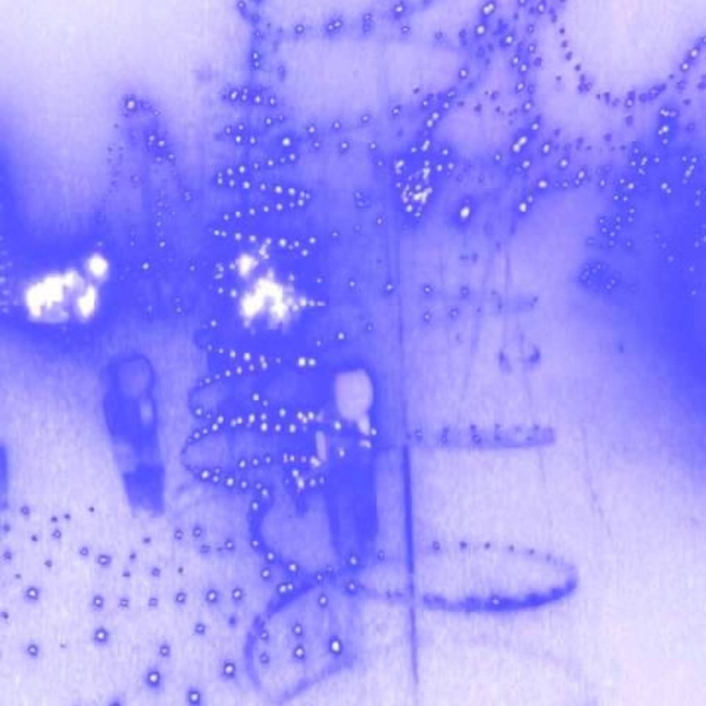 🎁 Merry Christmas Posh Friends 🎁 🥀🎄🕊🕎 🛍